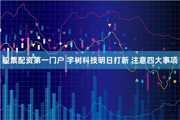 股票配资第一门户 宇树科技明日打新 注意四大事项